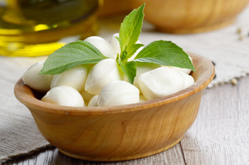 Mozzarella, tomatoes, basil and oil