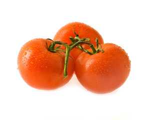 juicy tomatoes