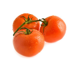 juicy tomatoes