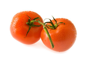 juicy tomatoes