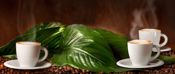 Cappuccino - Caffè con Latte