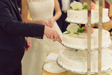 Groom Cutting Cake