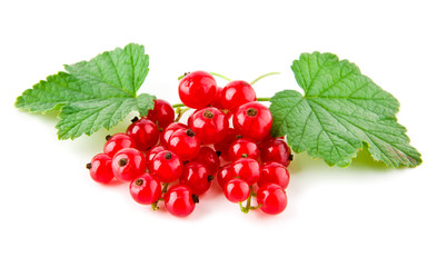 currant