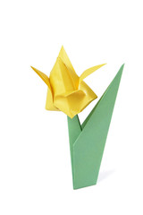 Fototapeta premium Origami tulip over white