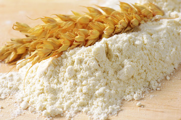 Wheat ears on pile of flour