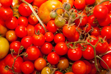 Tomatoes
