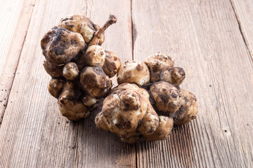 Helianthus tuberosus