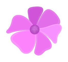 Pink Decorative Flower