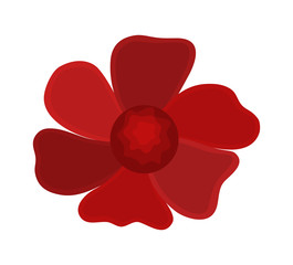 Dark Red Flower