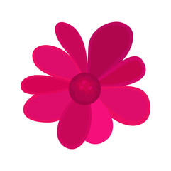 Pink Flower Vector Design
