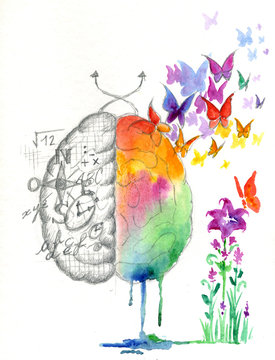 Brain hemispheres watercolored artwork