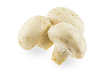 Three mushroom on white background