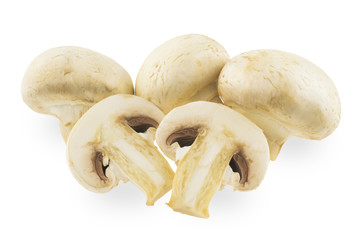 Mushrooms on a white background