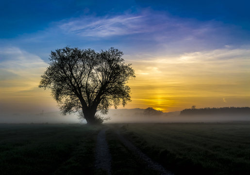 austrian foggy sunrise