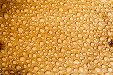 water drop