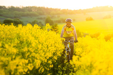 Fototapeta na wymiar Mtb biker is cycling in yellow rapeseed field
