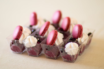 Blueberry mousse with cream