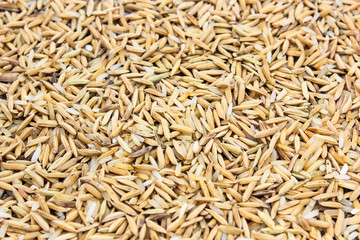 food rice seed paddy texture background