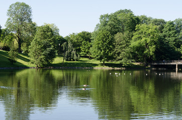 Fototapeta na wymiar Summer pond at Norway