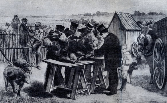 Pasteur performing anthrax vaccination; Pouilly-le-Fort 1881