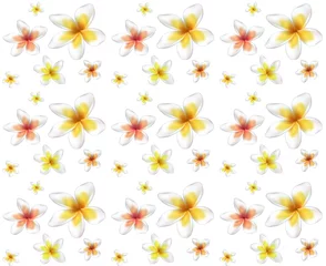 Tuinposter Seamless pattern from Frangipani flowers © Jaroslav Machacek