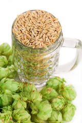 mug with barley and hop