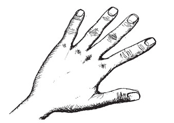 Hand Sketch By Pen
