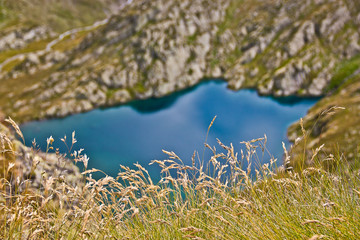 Spighe sopra il lago