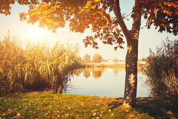 Obraz na płótnie Canvas Autumn lake