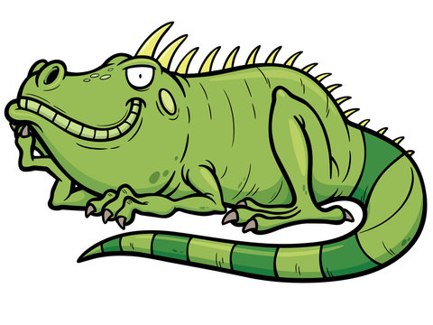 Vector illustrations of Cartoon green iguana