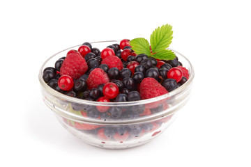 Berries