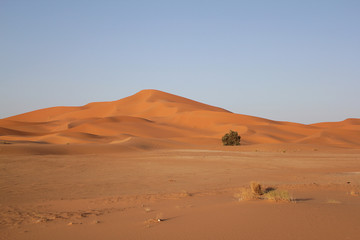 Merzouga Desert, Morocco