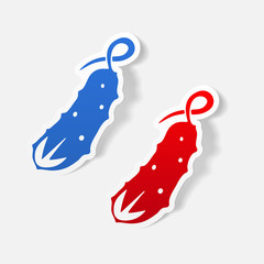 realistic design element: cucumber