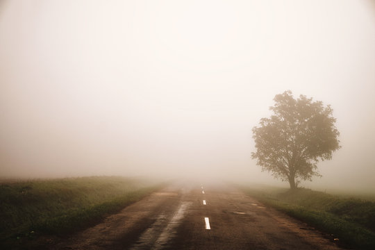Foggy road