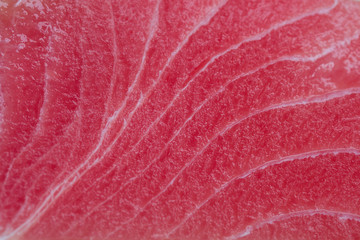 Raw tuna close up