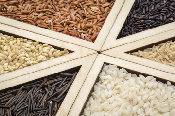 rice grain abstract