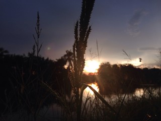 refresh your aftertime with sunset