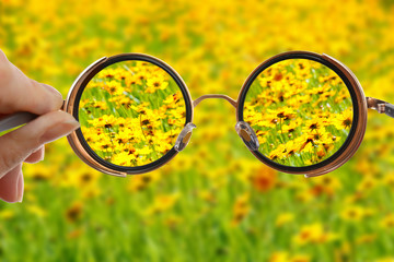 Vision concept. Glasses in hand on wild flowers background