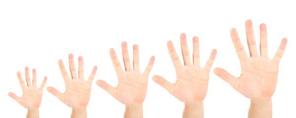 Fototapeta premium People's hands isolated on white