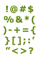 alphabet letter of green lichen