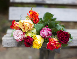 roses on a bench
