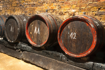 Old wine barrels in the rustic wine cellar