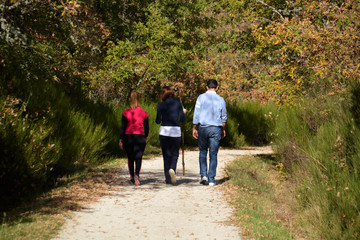 Obraz premium excursion por el bosque en otoño
