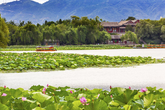 Lotus Garden Boat Buildings Summer Palace Beijing China