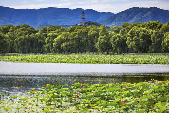 Yue Feng Pagoda Lotus Garden Summer Palace Beijing China