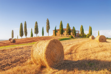 Spectacular views of the Tuscan landscape, Pienza, Italy - 72626414
