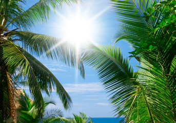 Sunshine View Under Sun