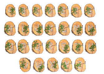 Rustic Wooden Alphabet