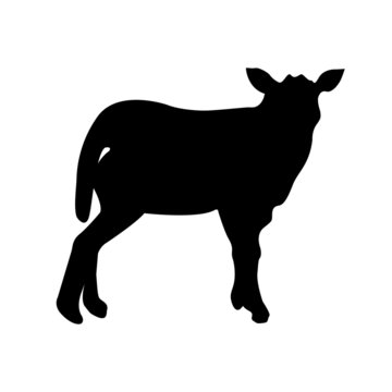 Black silhouette of sheep on white background