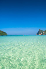 Natural Luxury Wallpaper View